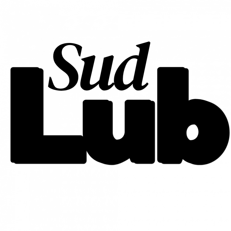 Logo partenaire entreprise alternance - Sud Lub