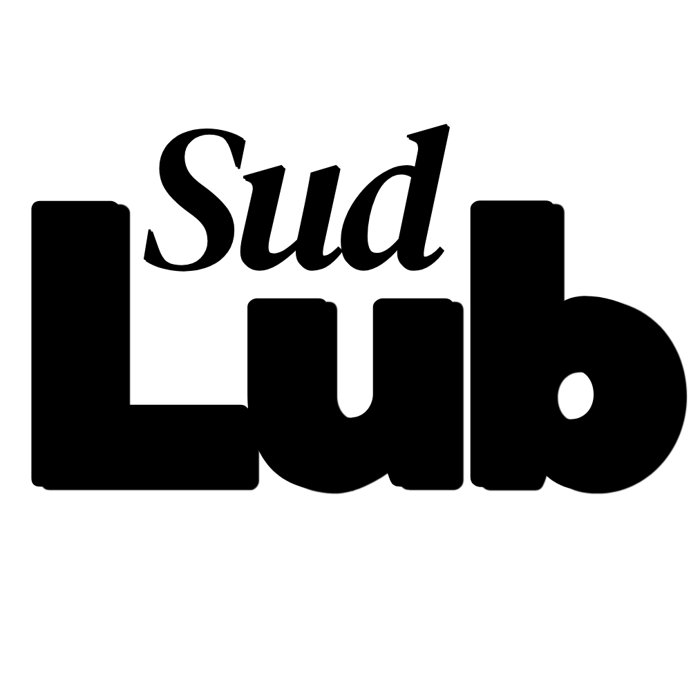 Logo partenaire entreprise alternance - Sud Lub