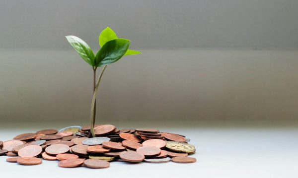 Pièces de monnaie et jeune pousse : les aides financières pour les apprentis